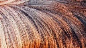 Can Minoxidil Change Hair Colour?